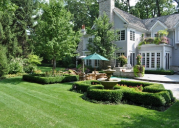 American-style landscaping: characteristics and interesting ideas