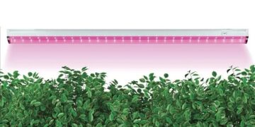 Світильники LED для рослин: освітлення майбутнього