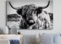 Posters featuring Highland cows as interior decoration: the secret to their popularity