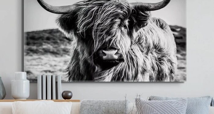 Posters featuring Highland cows as interior decoration: the secret to their popularity