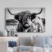 Posters featuring Highland cows as interior decoration: the secret to their popularity